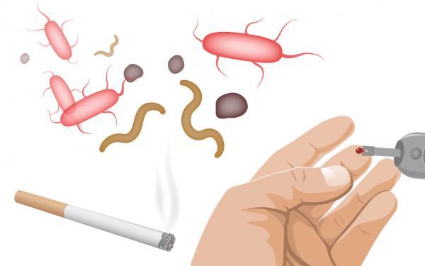 Ursachen der Parodontitis